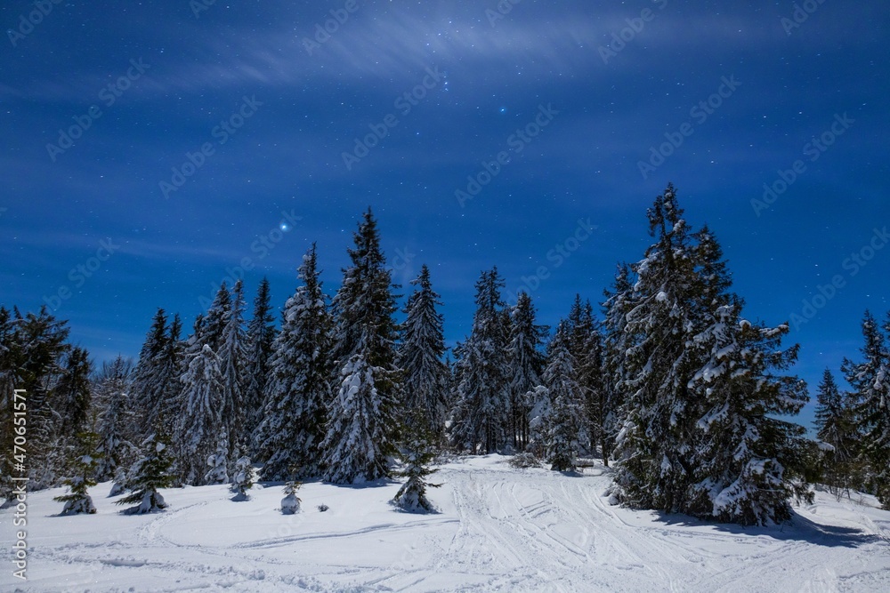 New Year's trail from a star in the night sky as a background for snow-covered trees in a beautiful valley New Year's trail from a star in the night sky as a background for snow-covered trees in a beautiful valley