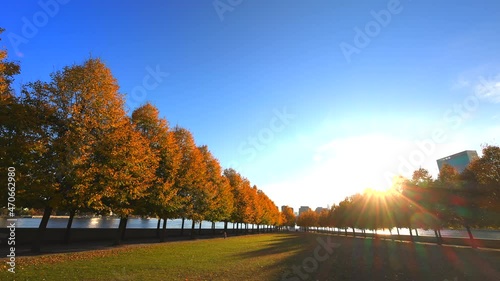 Rows of autumnal leaf color trees stand in Franklin D. Roosevelt Four Freedoms Park at Roosevelt Island on the East River on November 10, 2021 in New City. Midtown Manhattan skyscraper can be seen in  photo