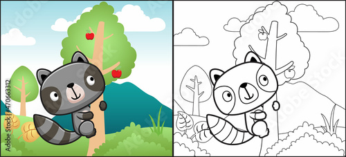 Coloring book or page of raccoon cartoon climbing fruit tree in forest