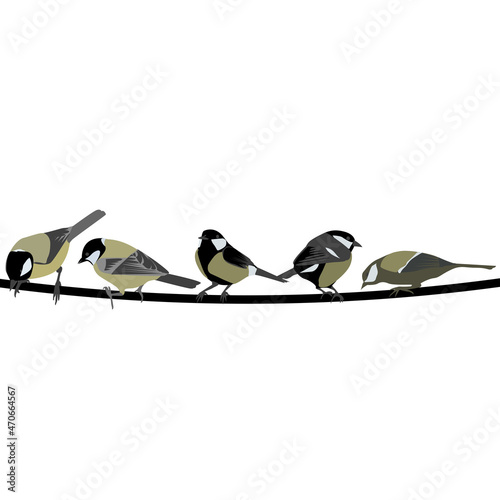 Card with hand drawn Great Tit birds sitting on a tree branch