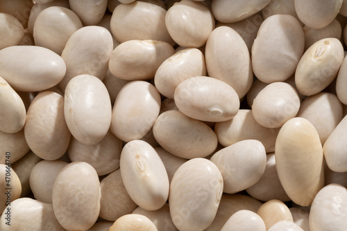 Detailed and large close up shot of navy beans.