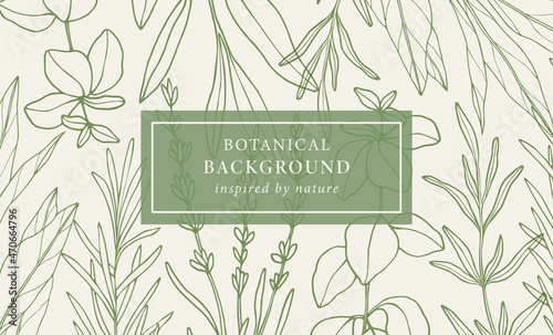 Hand drawn provence herbs background