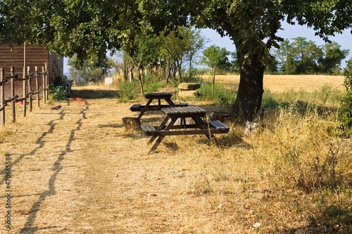 Two wooden picnic tables in the Italian countryside  Umbria  Italy  Europe 