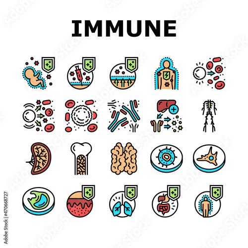 Immune System Disease And Treat Icons Set Vector. Thymus Of Immune And Antibodies, Active And Passive Immunity, Autoimmunity And Macrophage Blood Cell Line. Health Color Illustrations photo
