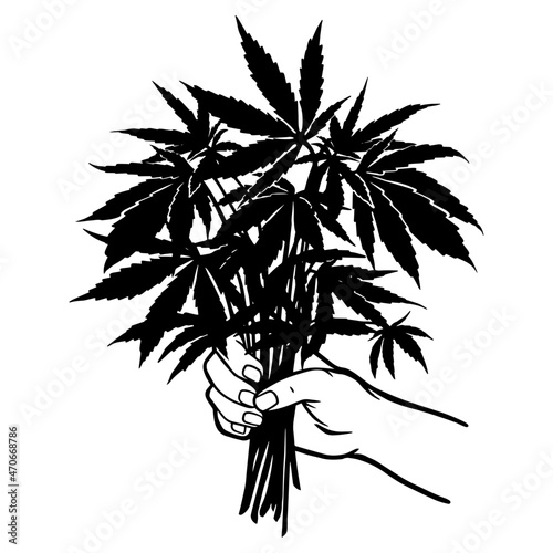 Marijuana bouquet vector. Bouquet of cannabis in hand on a white background.
