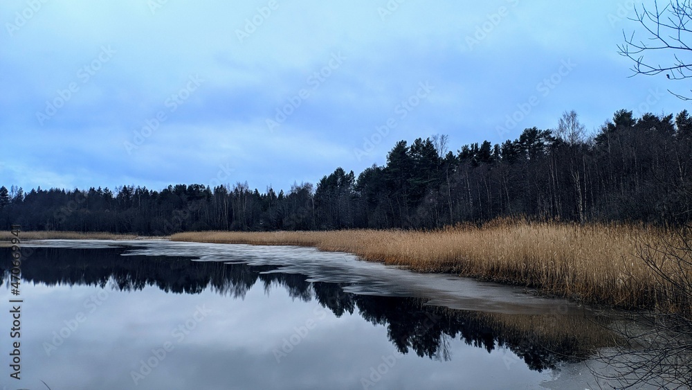 lake in the forest lake in the forest