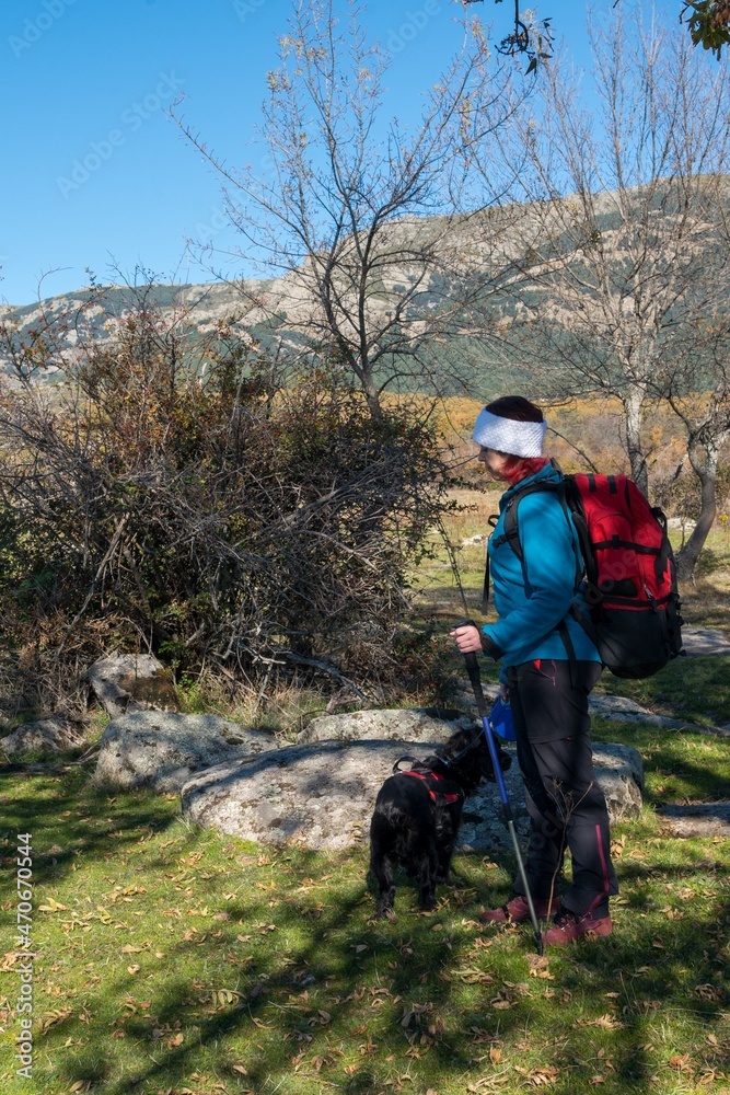 A girl and her dog go hiking in the mountains. Black cocker 