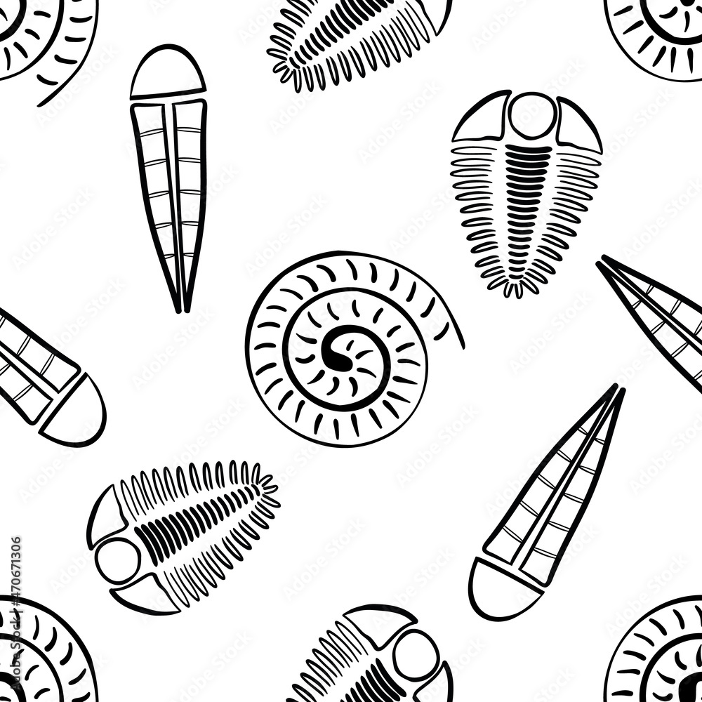 Ammonite trilobite haplophrentis vector seamless pattern background. Hand drawn shell cephalopod, arthropod, hyolithis ribbed fossils Extinct marine predators and filter feeders. For education Ammonite trilobite haplophrentis vector seamless pattern background. Hand drawn shell cephalopod, arthropod, hyolithis ribbed fossils Extinct marine predators and filter feeders. For education
