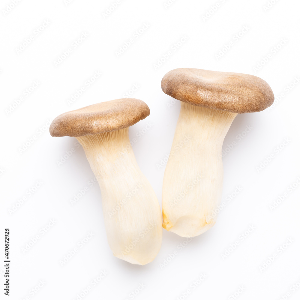 King oyster mushroom on white background. King oyster mushroom on white background.