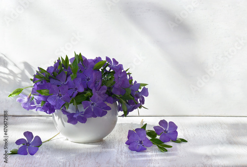 Bouquet blue violet flowers periwinkle on a white table with space for text
