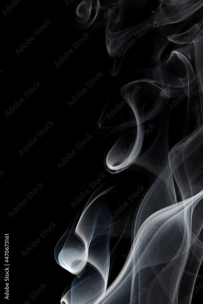 abstract white smoke swirls on black background
abstract white smoke swirls on black background