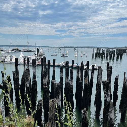 sailboats in the harbor