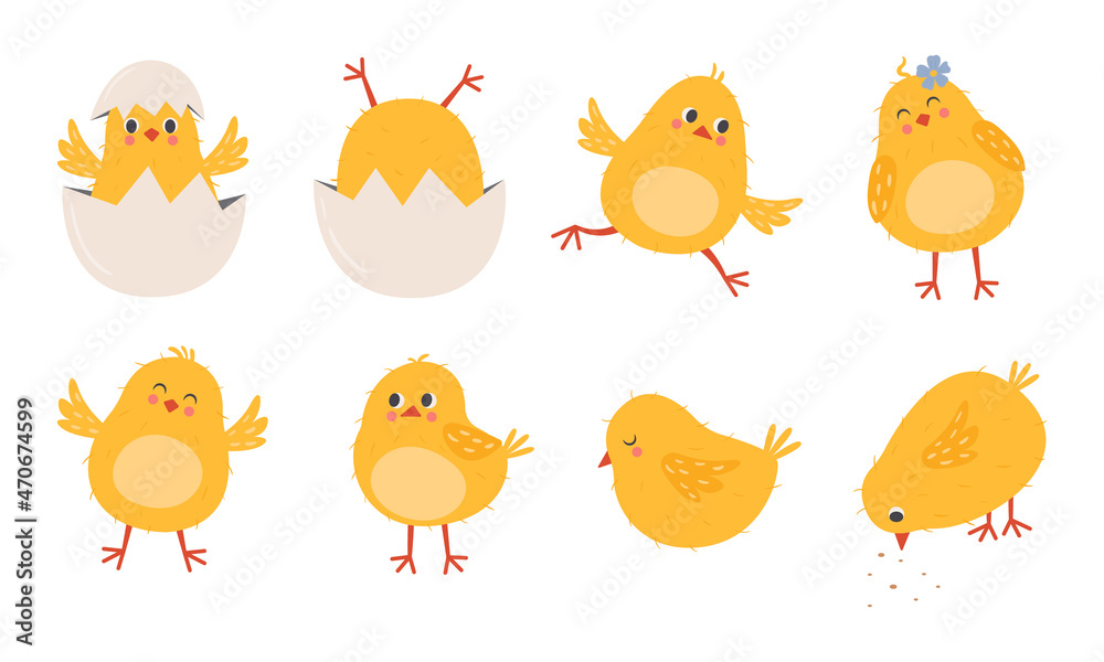 Set of cute baby chicken in flat style. Hand drawn funny chick characters doing various activities. Domestic farm poultry isolated on white background