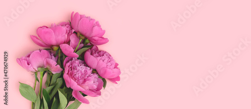 Banner with peony flowers bouquet on a pink background. Floral composition with copy space. © rorygezfresh