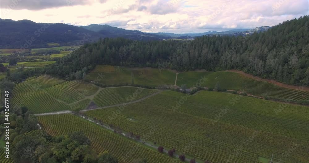 Aerial of vineyard and forest in the autumn, Napa Valley, USA Aerial of vineyard and forest in the autumn, Napa Valley, USA