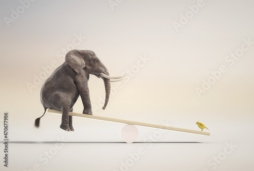 Photography Elephant on balance with a canary.