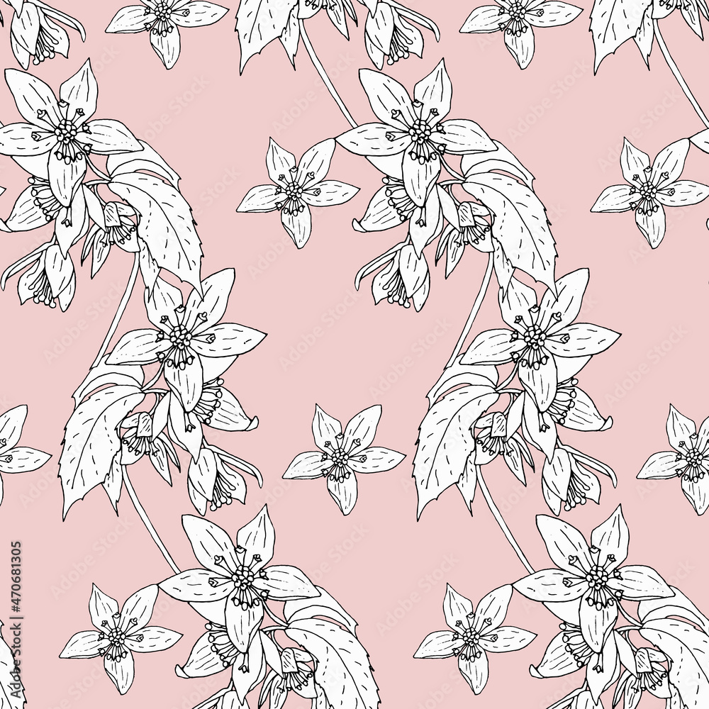 custom made wallpaper toronto digitalSketch Floral Botany Pattern. Deutzia flower drawings. Black and white with line art on light pink background. Vector Hand Drawn Botanical Illustrations. Ideal for home textile.