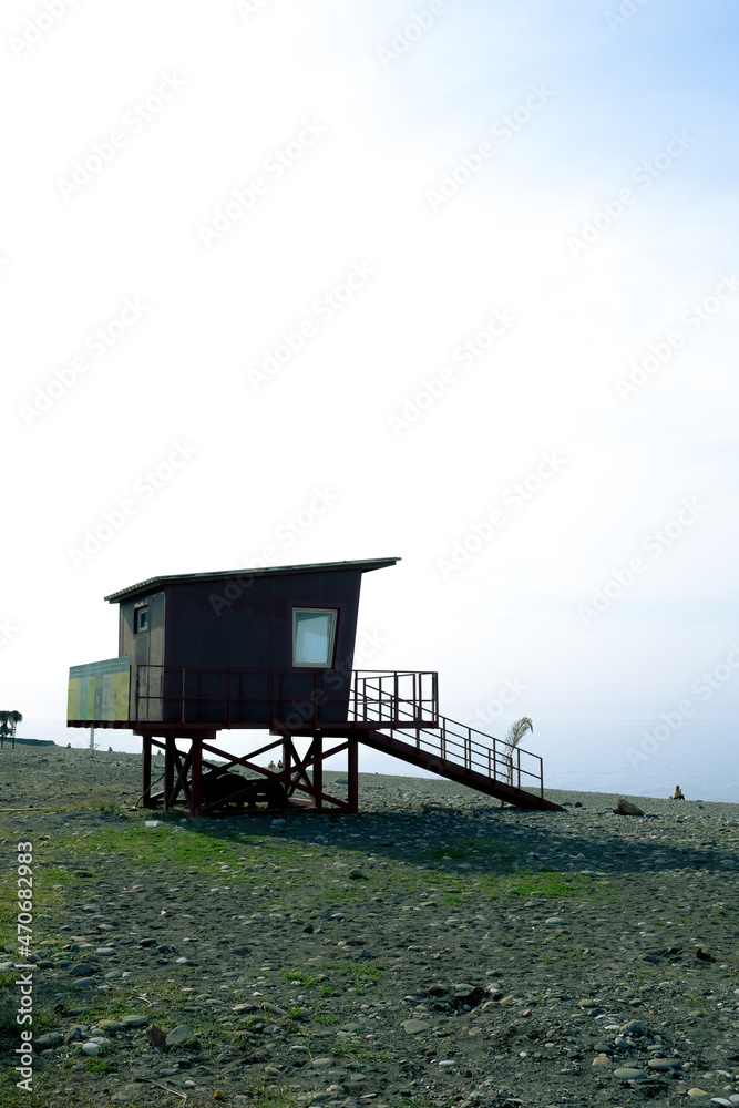 theses are some photos I took this week. 22.11.2021