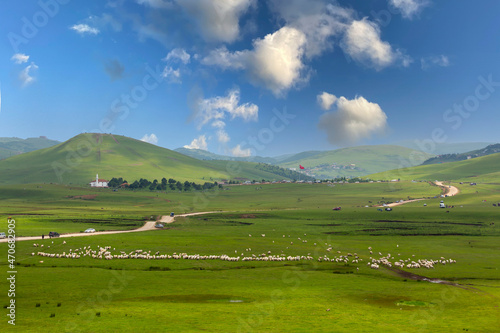 Obraz na płótnie the meanders of the Perşembe plateau, aybasti, ordu, turkey w salonie