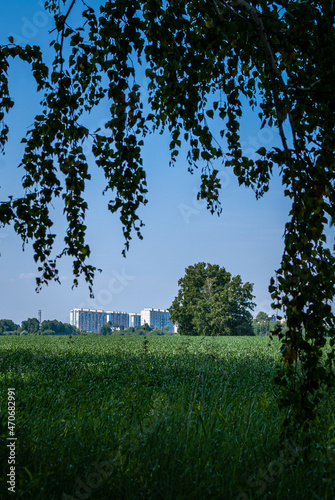 field