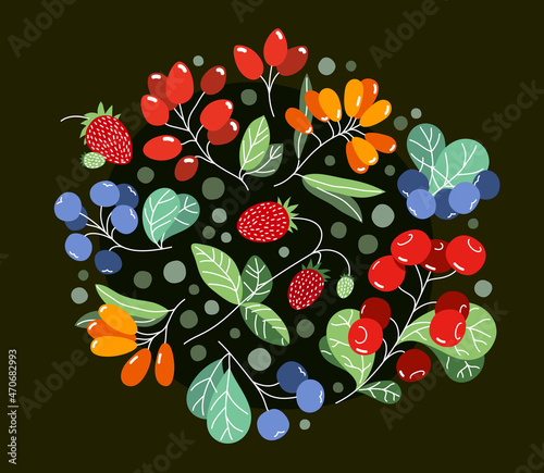 Wild berries fresh and ripe tasty healthy food vector flat style illustration over dark background, delicious vegetation diet eating, organic food.