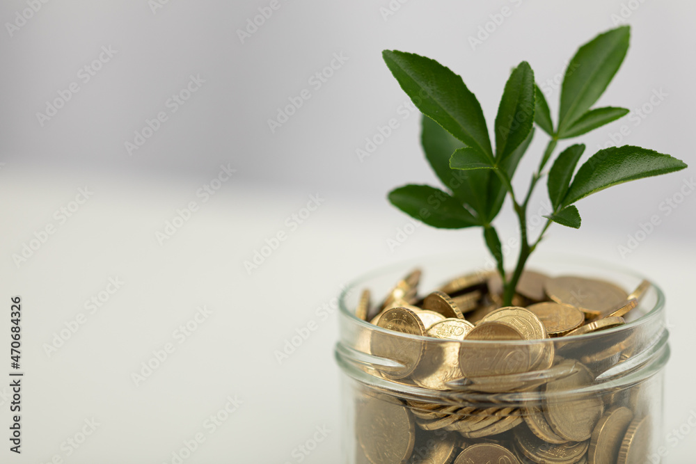 Finanzen Wachstum Finanzen Wachstum