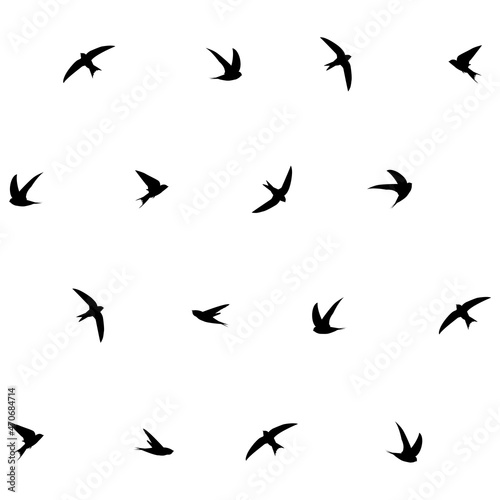 Black swifts on white background  textile pattern