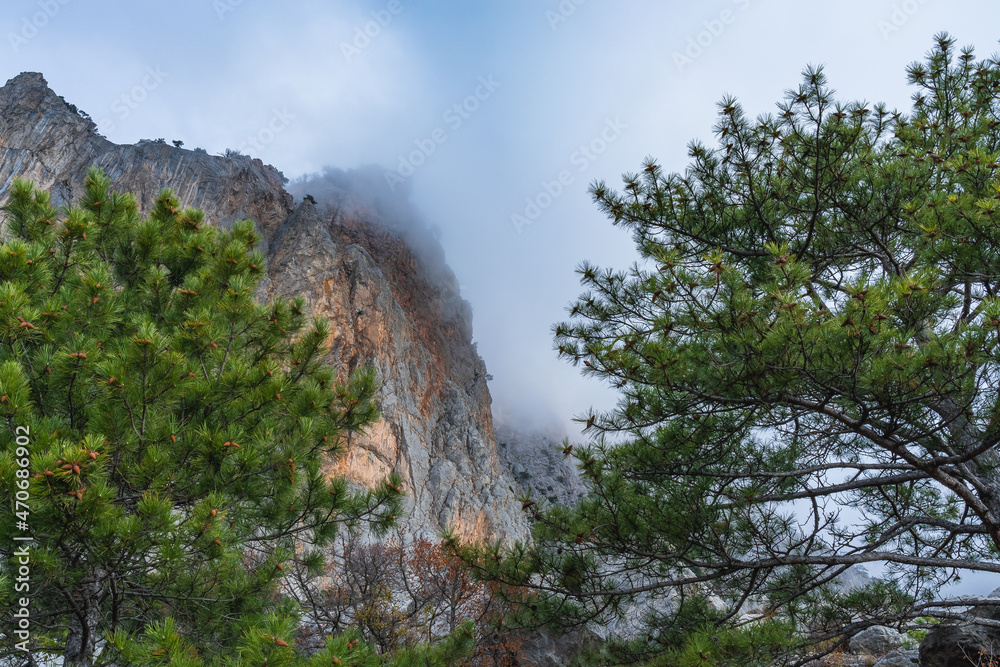 A steep rock of white and red stones in the fog between two bright green pine trees with cones