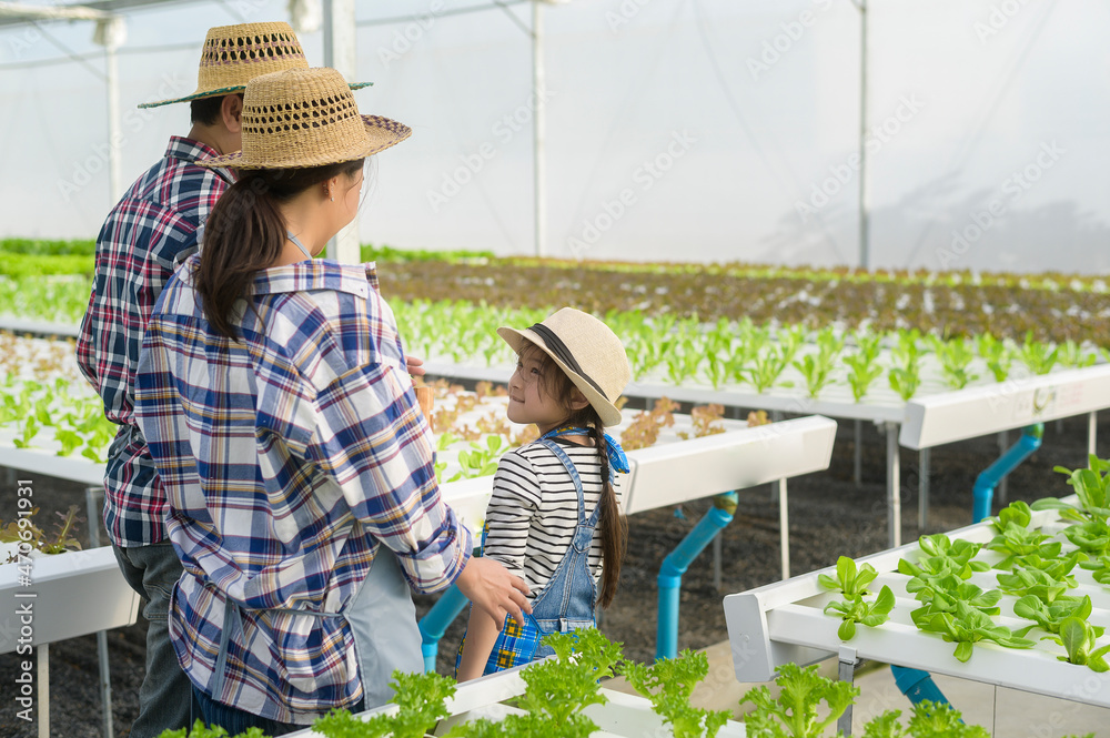 Happy farmer family working in hydroponic greenhouse farm, clean food and healthy eating concept Happy farmer family working in hydroponic greenhouse farm, clean food and healthy eating concept