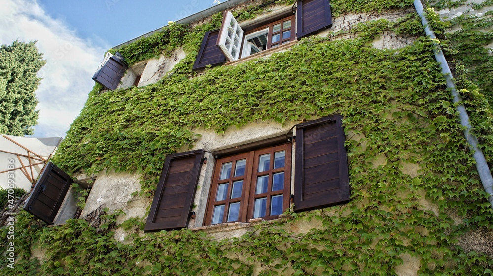 Provence, France, September 2010,
 an ancient house entwined with ivy in the ancient city of Saint-Paul-de-Vence