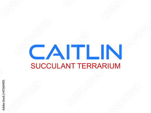 Caitlin succulant terrarium decorative lettering type design.