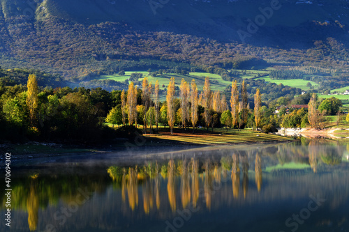 Autumnal poplars in the Maroño water reservoir. Alava. Basque Country. Spain