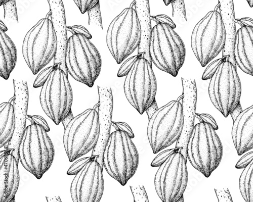 Seamless pattern. Cocoa pods pattern vector illustration. Hand drawn cocoa tree sketch. Vintage Design Background. Cacao beans. Vintage illustration.