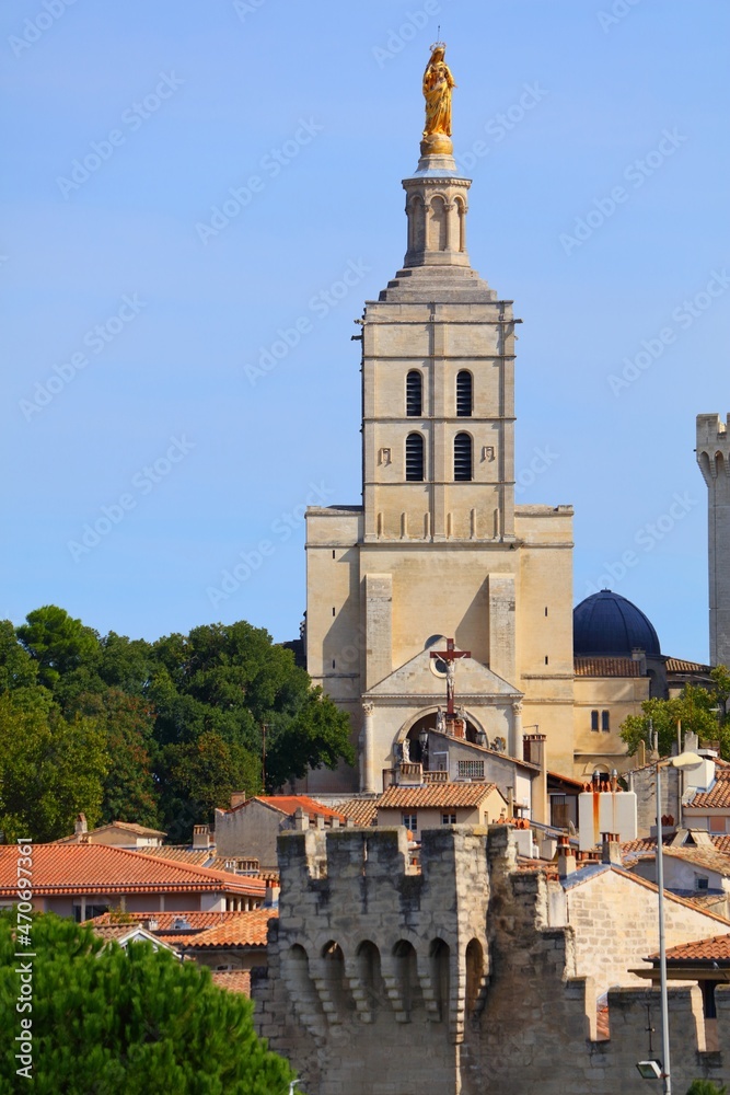 Obraz premium Avignon Cathedral