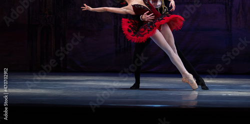 Don Quixote ballet.