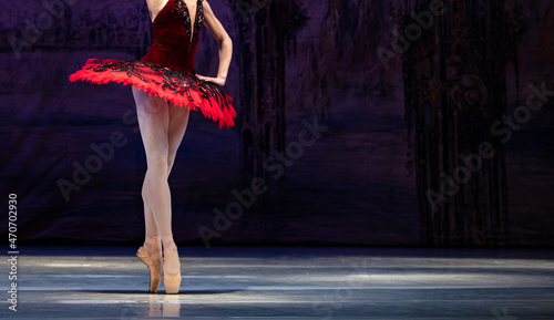 Photos Don Quixote ballet.