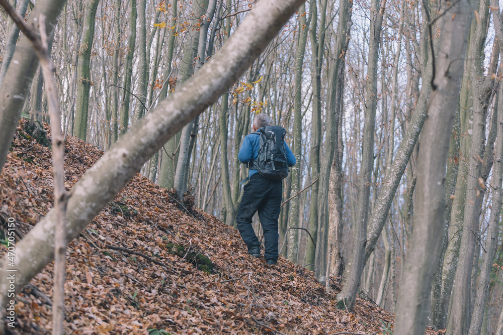 Adult man hiking in forest on cold autumn day. Inexpensive weekend getaway.