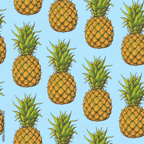 Seamless pattern with Pineappple. Hand drawn package design. Pineapple template. Vector illustration. Pattern illustration. Can used for package photo