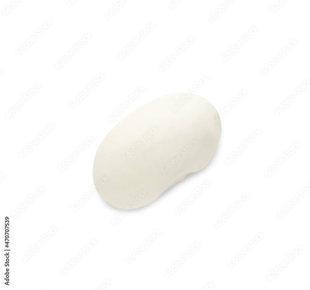 One uncooked navy bean isolated on white