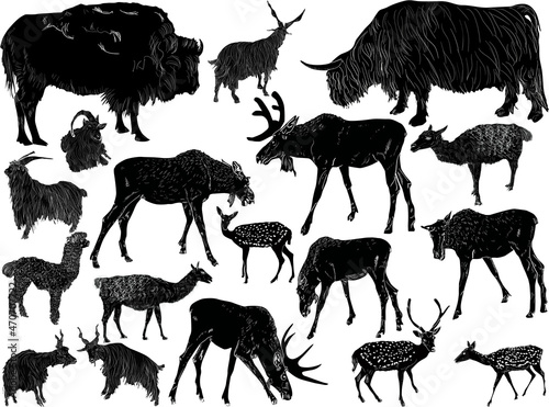 eighting horned animals silhouettes isolated on white
