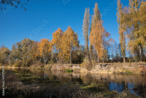 Autumn landscape on the river bank with yellow trees and dry grass.