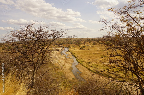 Die wunderschöne Natur in Afrika