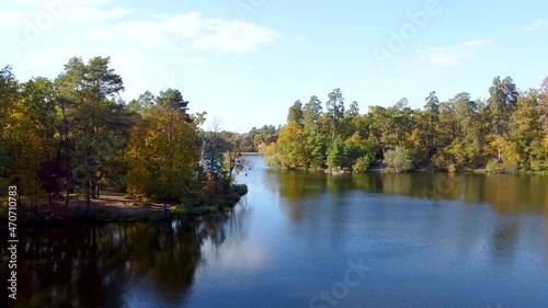 Up of  lake with autumn  wood and yellow tree .Aerial view