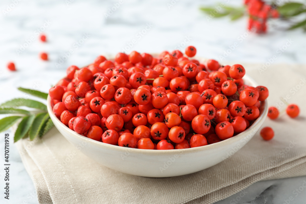 Fresh ripe rowan berries in bowl on white table, closeup