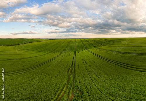 Aerial landscape view of green cultivated agricultural fields with growing crops on bright summer day