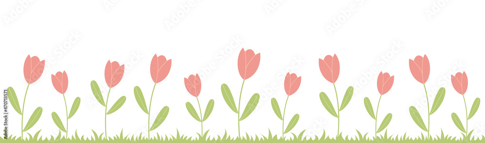 Illustration of pink tulips isolated on white background. Garden with flowers and grass.