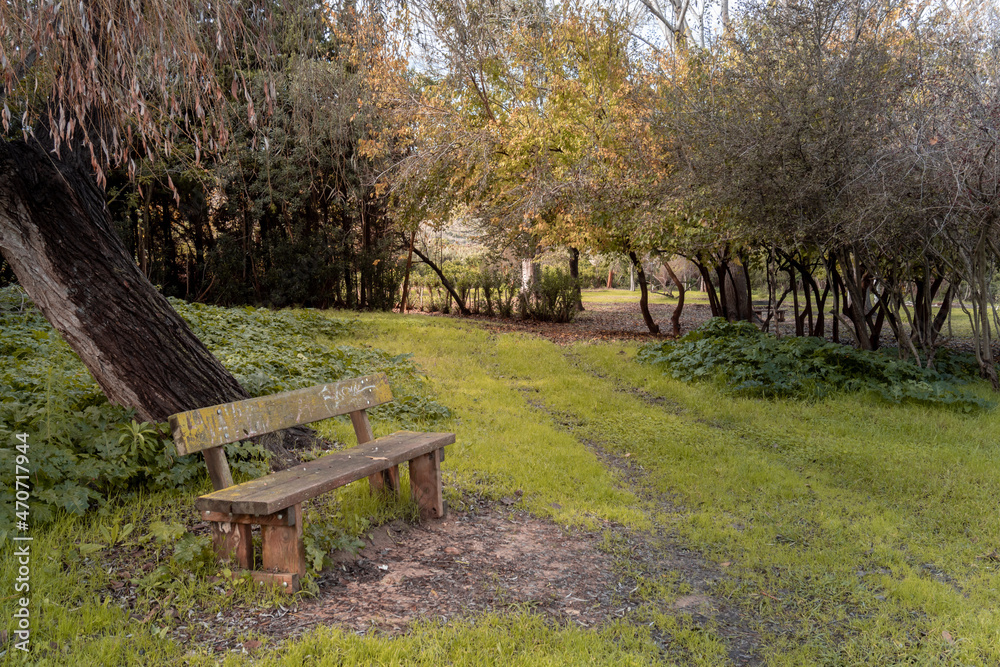 Old empty wooden bench in a leafy park. Old empty wooden bench in a leafy park.
