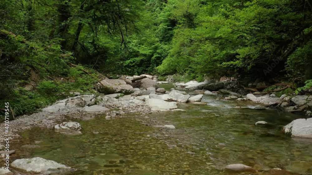 Caucasus. A flight in the Navalishinsky canyon over the Khosta mountain river. Subtropical forest. Caucasus. A flight in the Navalishinsky canyon over the Khosta mountain river. Subtropical forest.