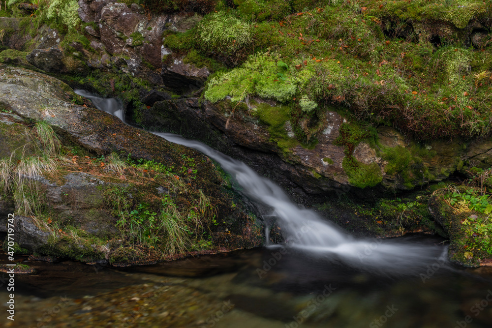 Fototapeta premium Sumny creek in autumn morning in Jeseniky mountains