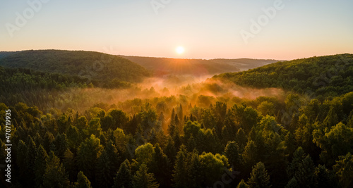 Vibrant foggy morning over dark forest trees at bright summer sunrise. Amazingl scenery of wild woodland at dawn